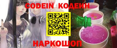 индика Борзя