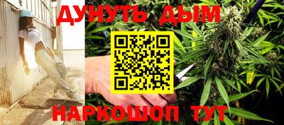 индика Борзя