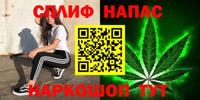 индика Борзя