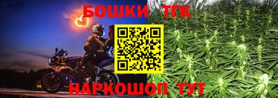 индика Борзя