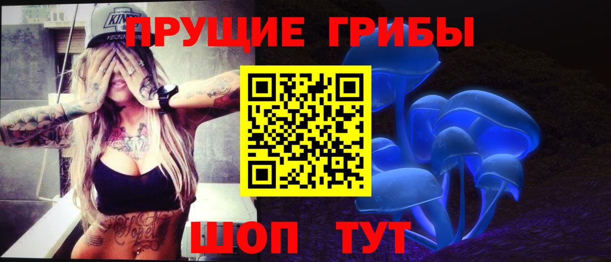 Вышний Волочёк  Галлюциногенные грибы GOLDEN TEACHER  Вход с VPN  Галлюциногенные грибы прущие грибы 